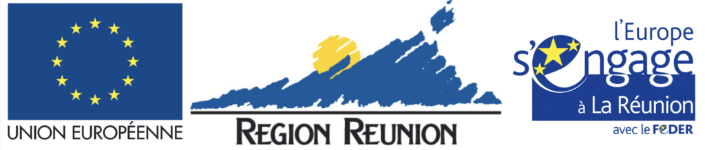 logo region de la reunion